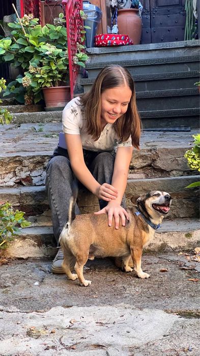 Вигул собак,догляд та годування тварин.Перетримка собак/котів. Зооняня