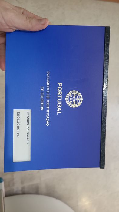 Poldro c/ livro azul
