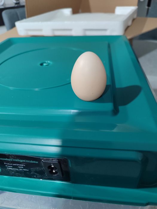 Chocadeira incubadora