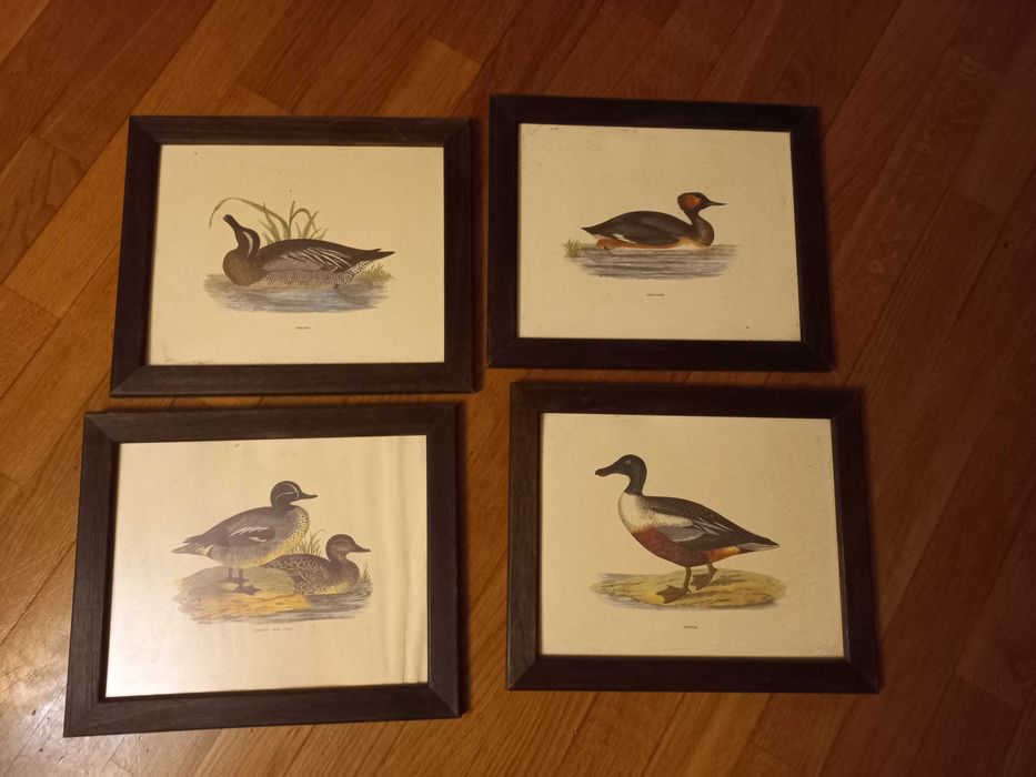 4 quadros com moldura de madeira motivo patos