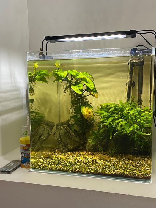 Aquário de 80 Litros