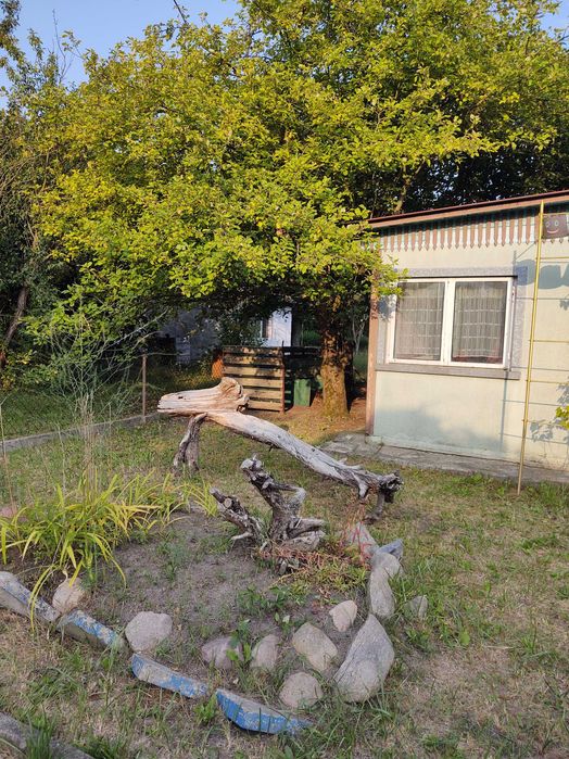 Działka ROD "Maciejka" Wrocław Ołtaszyn ul. Grota-Roweckiego 215
