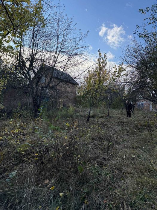 ділянка  Вороніна біля русла