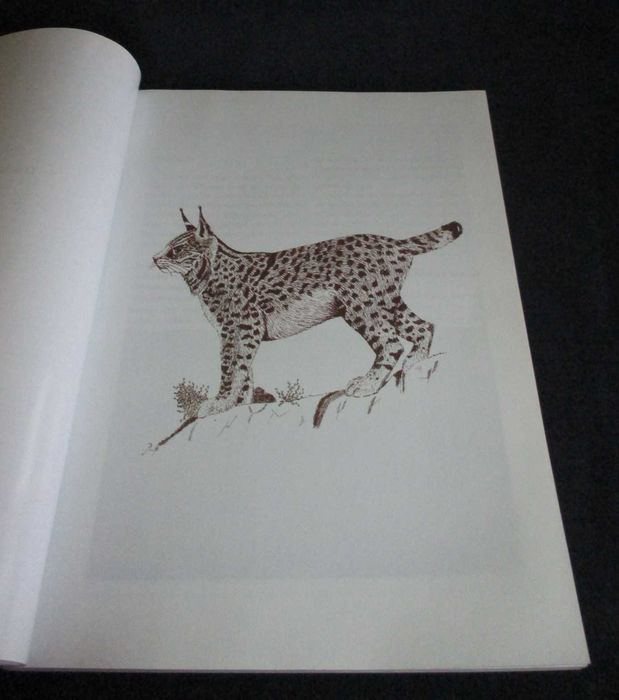 Livro Moinhos da Baságueda Lopes Marcelo