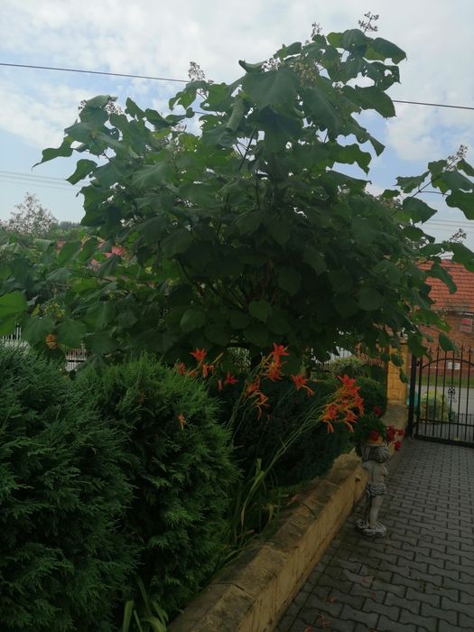 Pokoje z łazienkami, agroturystyka