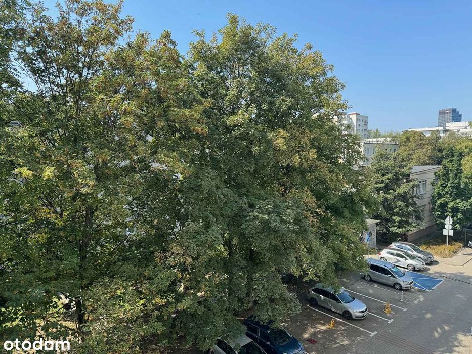 Śródmieście | 2 pokoje | gotowe do wprowadzenia | ciche i jasne