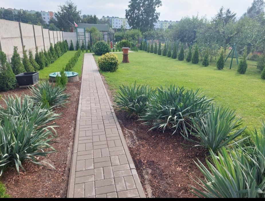 Dzialka ROD centrum Nowa cena ! Do negocjacji dla zdecydowanych !