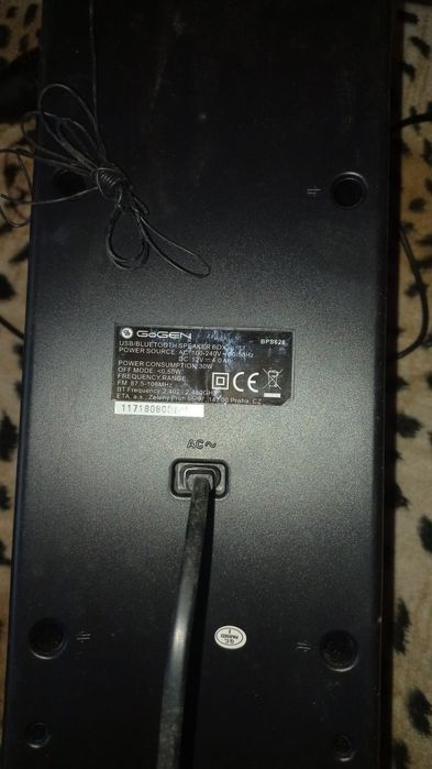 Музична колонка з мікрофоном