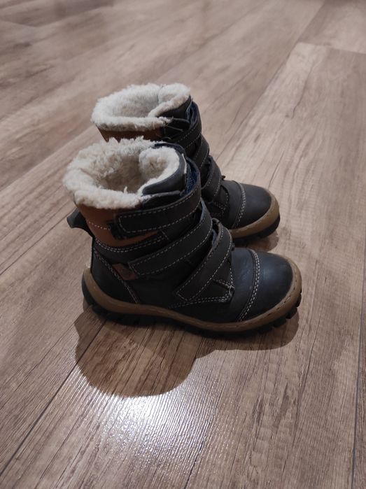 Kozaki Lasocki 24
