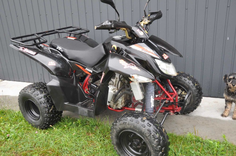 Karczownica kosiarka Hercules stiga honda sentar