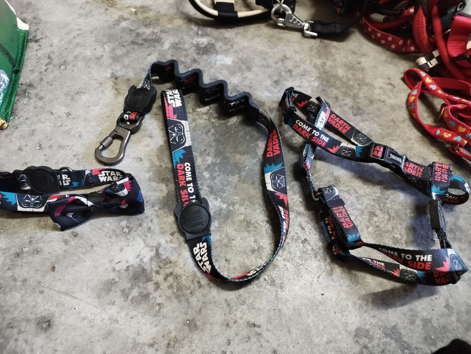 Conjunto zeedog cão médio