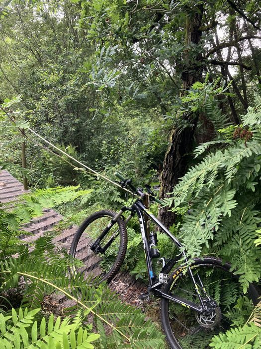 Bicicleta BTT Trek XCaliber 9 29” M