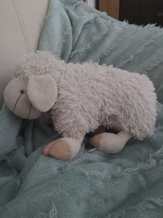 Pluszak poduszka, owieczka