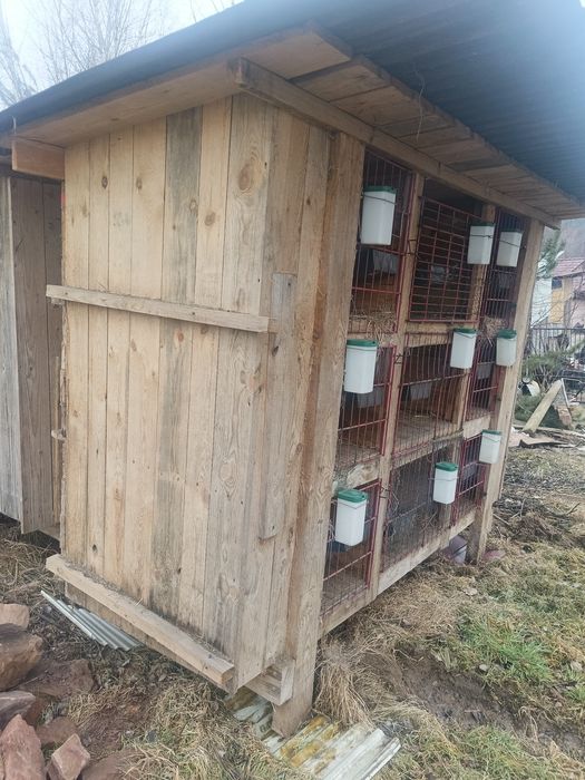 Klatki dla królików