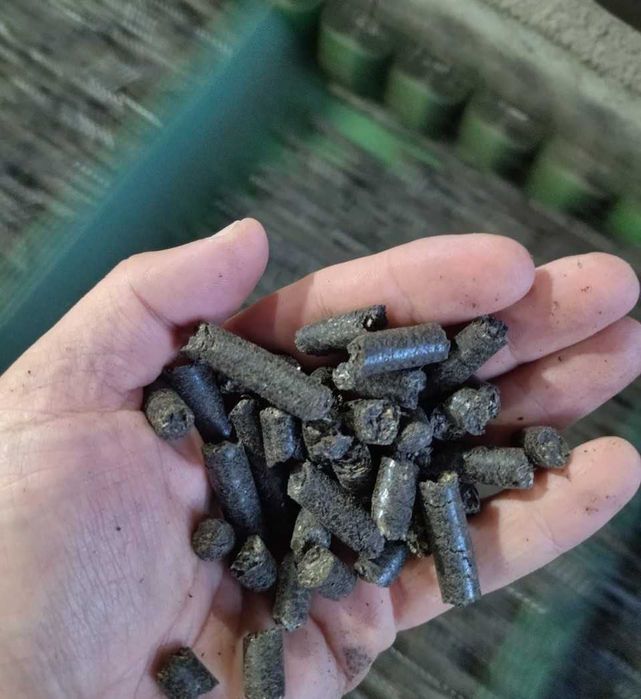 Pellet z łuski słonecznika LUZEM – transport kolejowy - OD 250 ton.