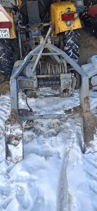 Wciagarka leśna bardzo mocna