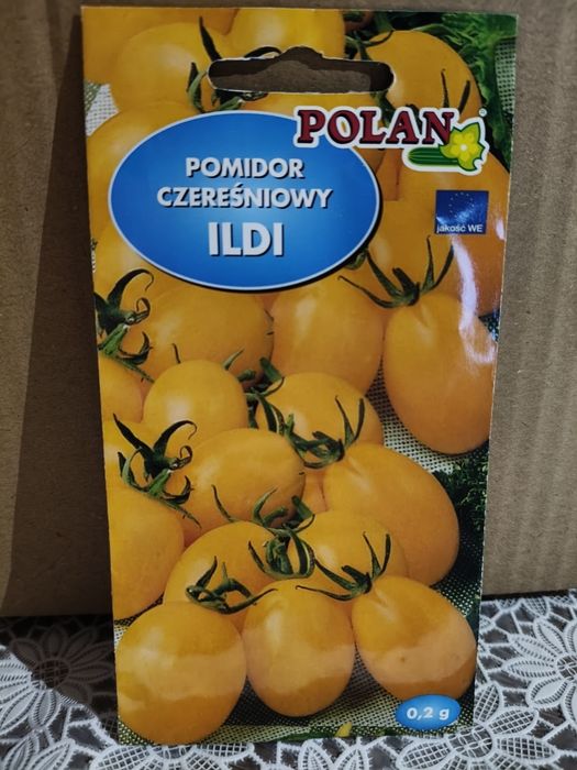 Pomidor czereśniowy Ildi