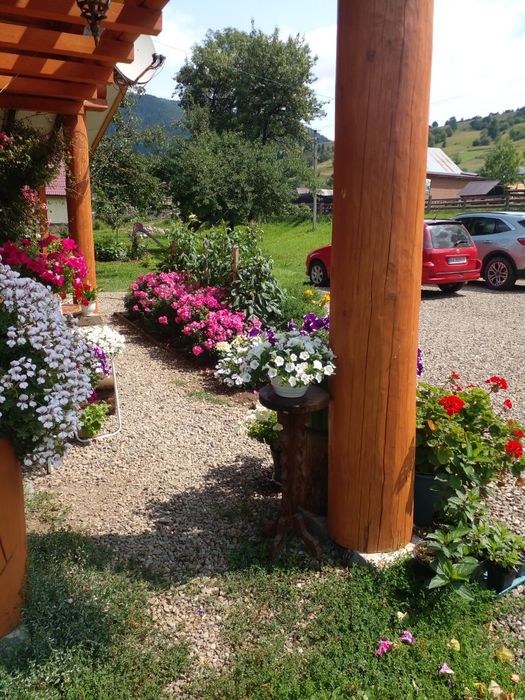 Здається котедж на три окремі номери