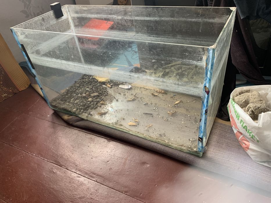 Акваріум- тераріум