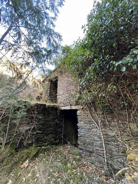 Quinta com 5hec - Serra da Lousã