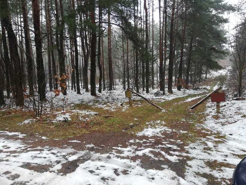 Działka leśna w Przybynowie. Zamiana