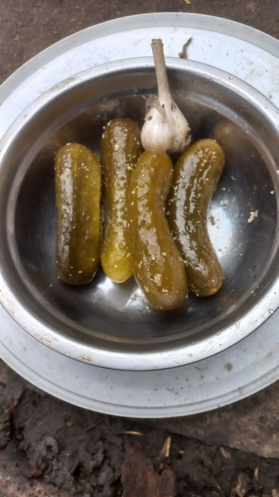 ХРУМКІ квашені огірки