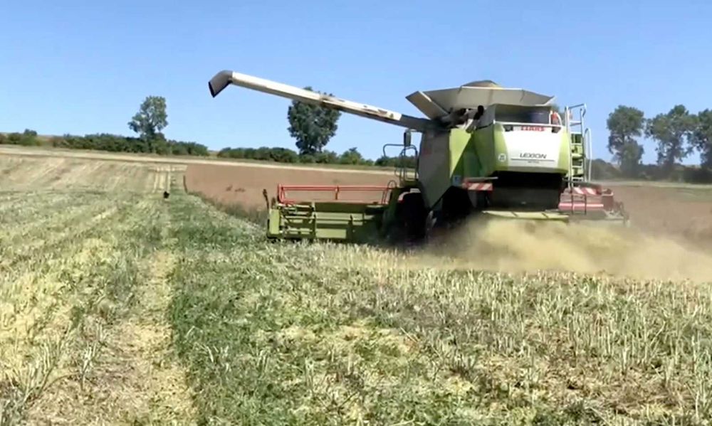 Пропонуємо в оренду зернозбиральні комбайн,Claas Lexion 600 TT