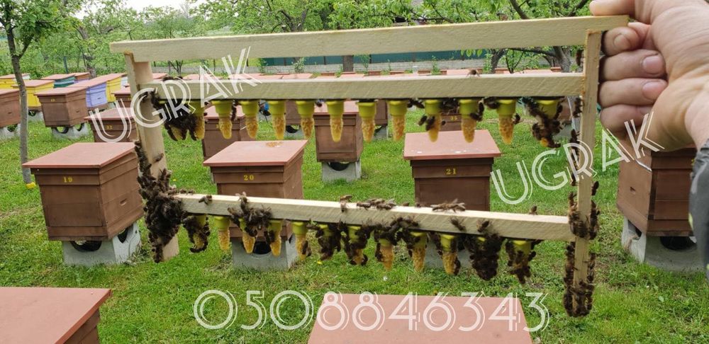 Система нікот, набор «NICOT 25», ФРАНЦИЯ