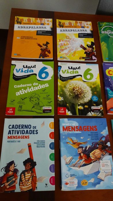 Livros escolares 6º e 5º ano