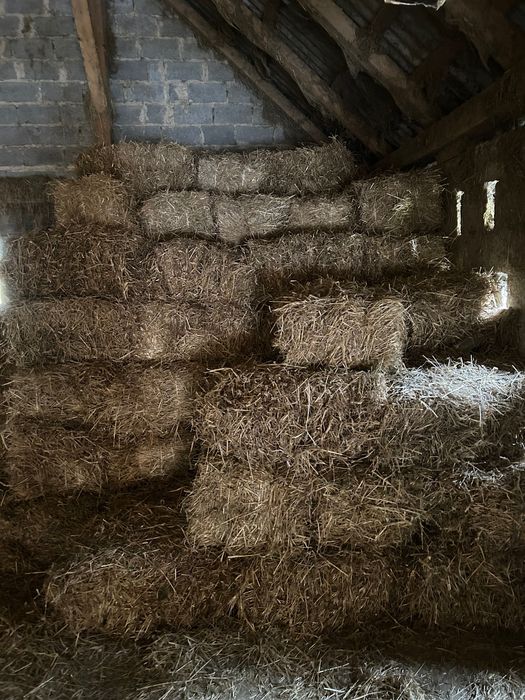 Słoma kostka(pszeniczna)