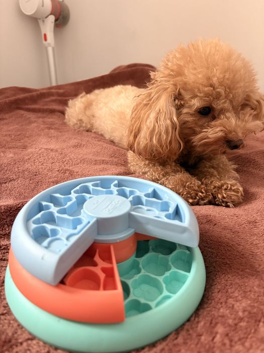 Zabawka interaktywna na smaczki Nina Ottoson