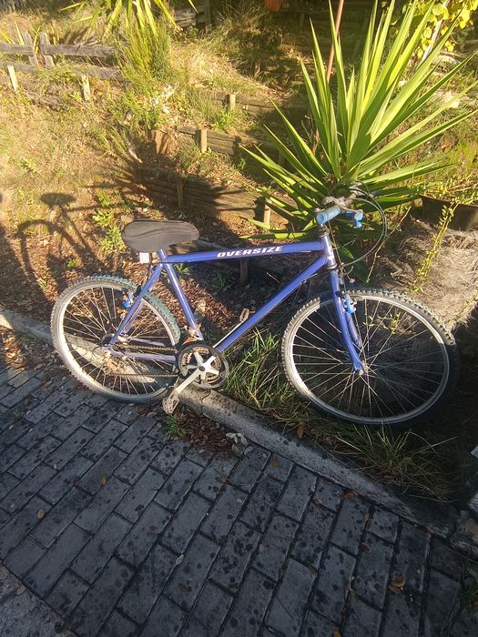 Várias bicicletas432571498795509765