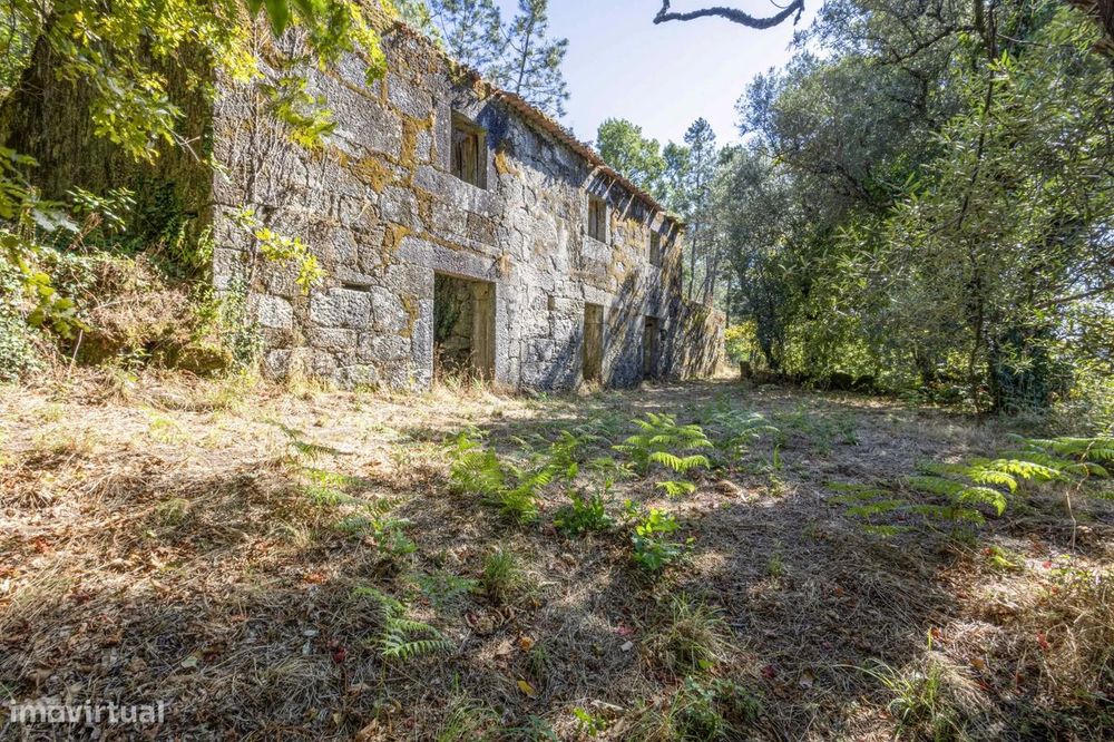 Quinta com 2 Hectares e Casa em Pedra para Recuperar em Gomide, Vila V