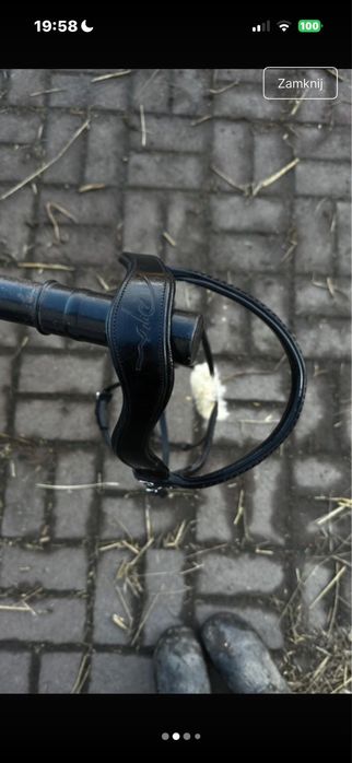 Ogłowie meksykańskie Dyon