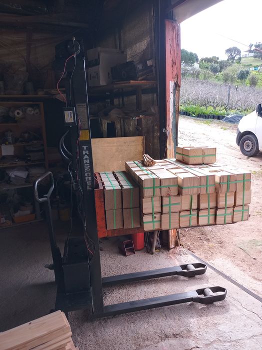 Impilhador a bataria de automovel