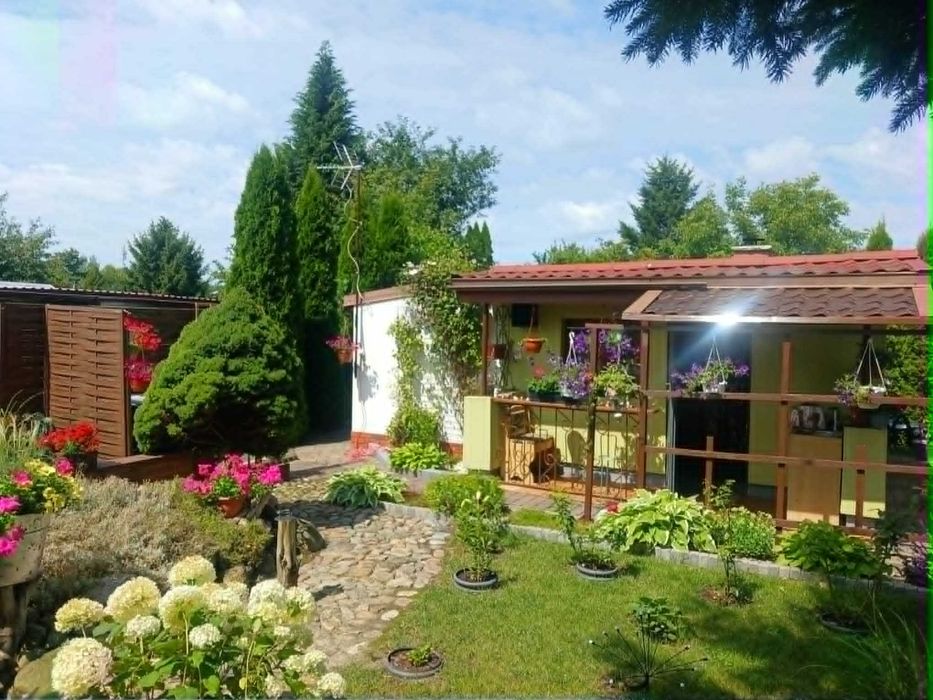 Działka ROD Piastowsk - Międzyrzecz  – 300 m², domek, prąd, oczko wodne