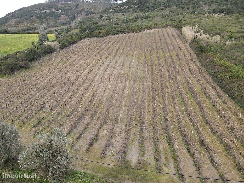 Terreno  para venda