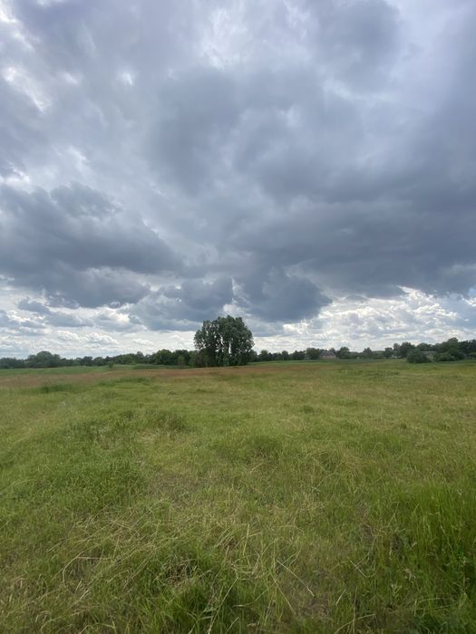 Земельна ділянка 26 соток