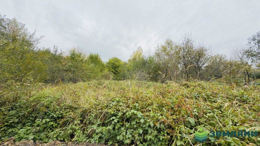 Продається земельна ділянка у с. Хриплині (7)