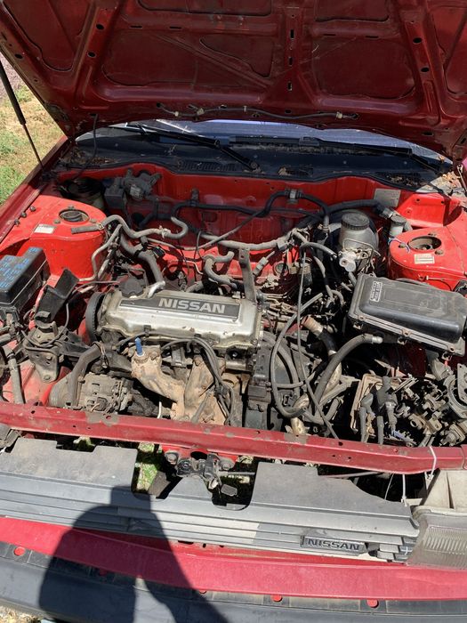 Nissan bluebird