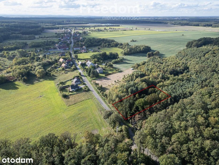 Działka na sprzedaż rolna/ leśna.