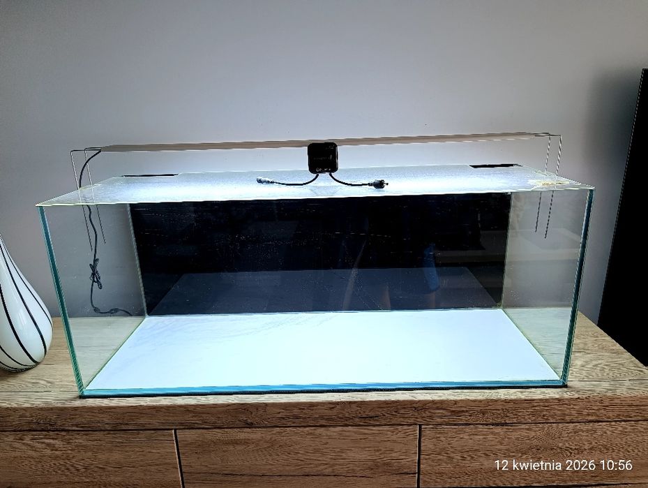 Akwarium z oświetleniem