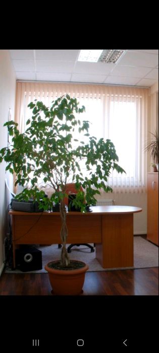 Стол письменный угловой