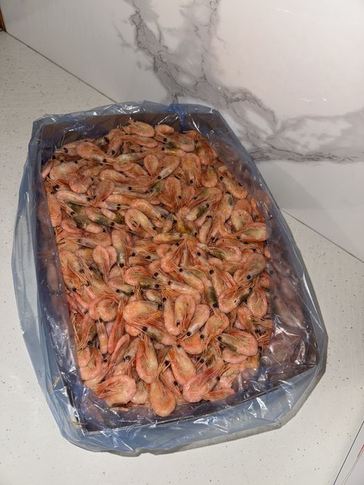 Креветка Атлантична  200+