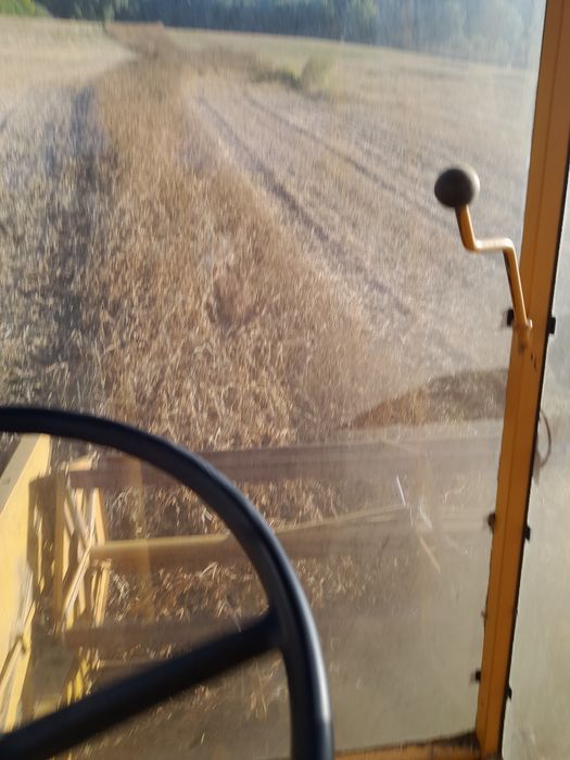 Продам Сою насіння соя