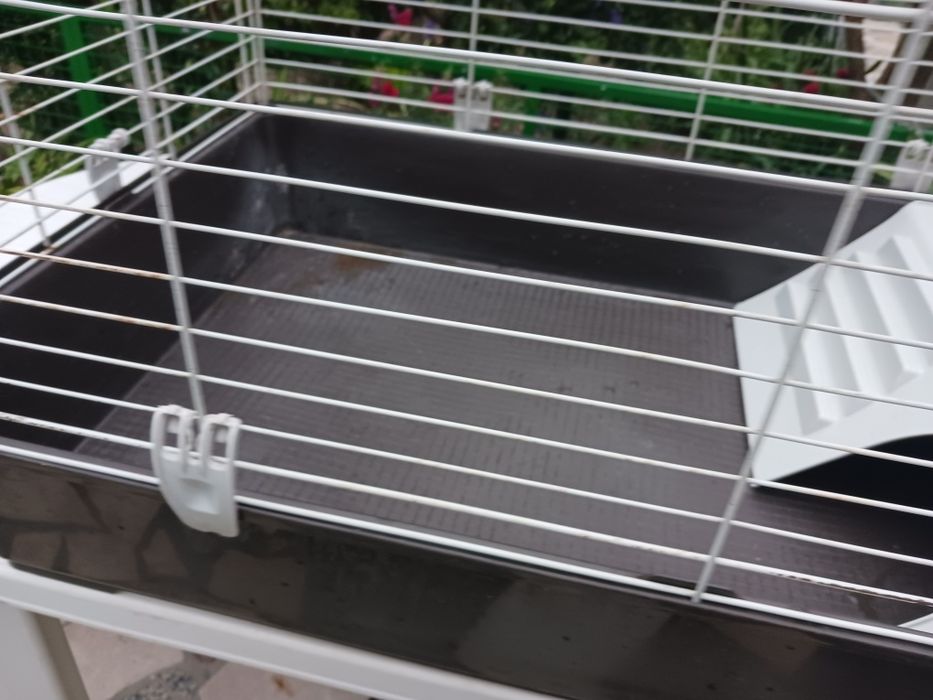 Grande casa gaióla para coelhinho  anão ou amester usada mas bem estimada