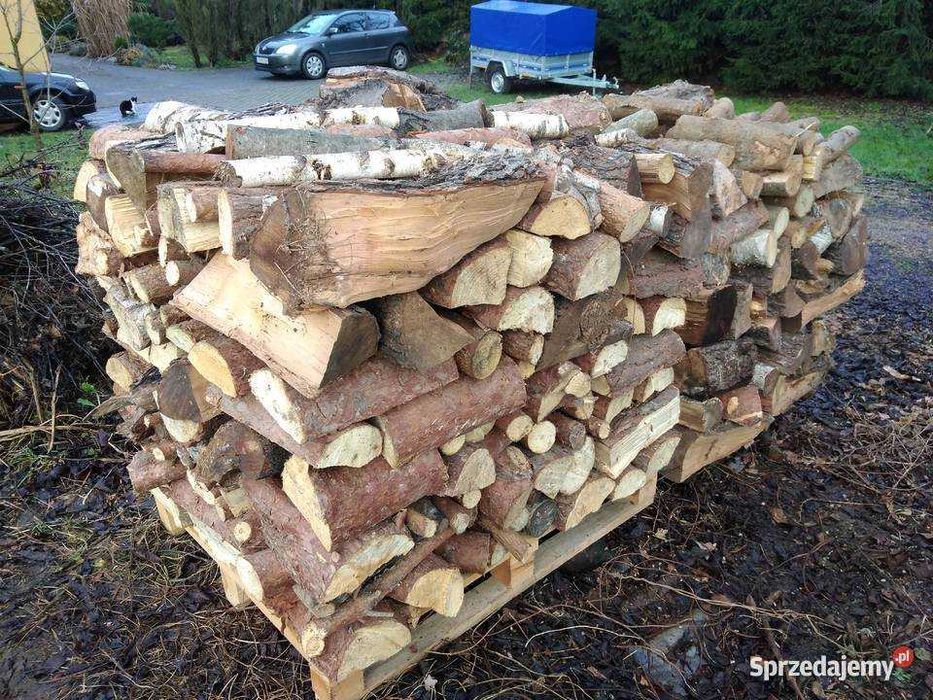 Drewno suche opałowe