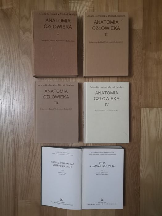Anatomia człowieka Bochenek Reicher Atlas anatomii