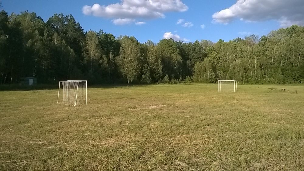 Новорічні свята. Оренда котеджів під Києвом подобово