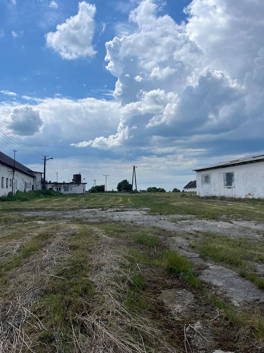 Ferma trzoda/drobiu itp